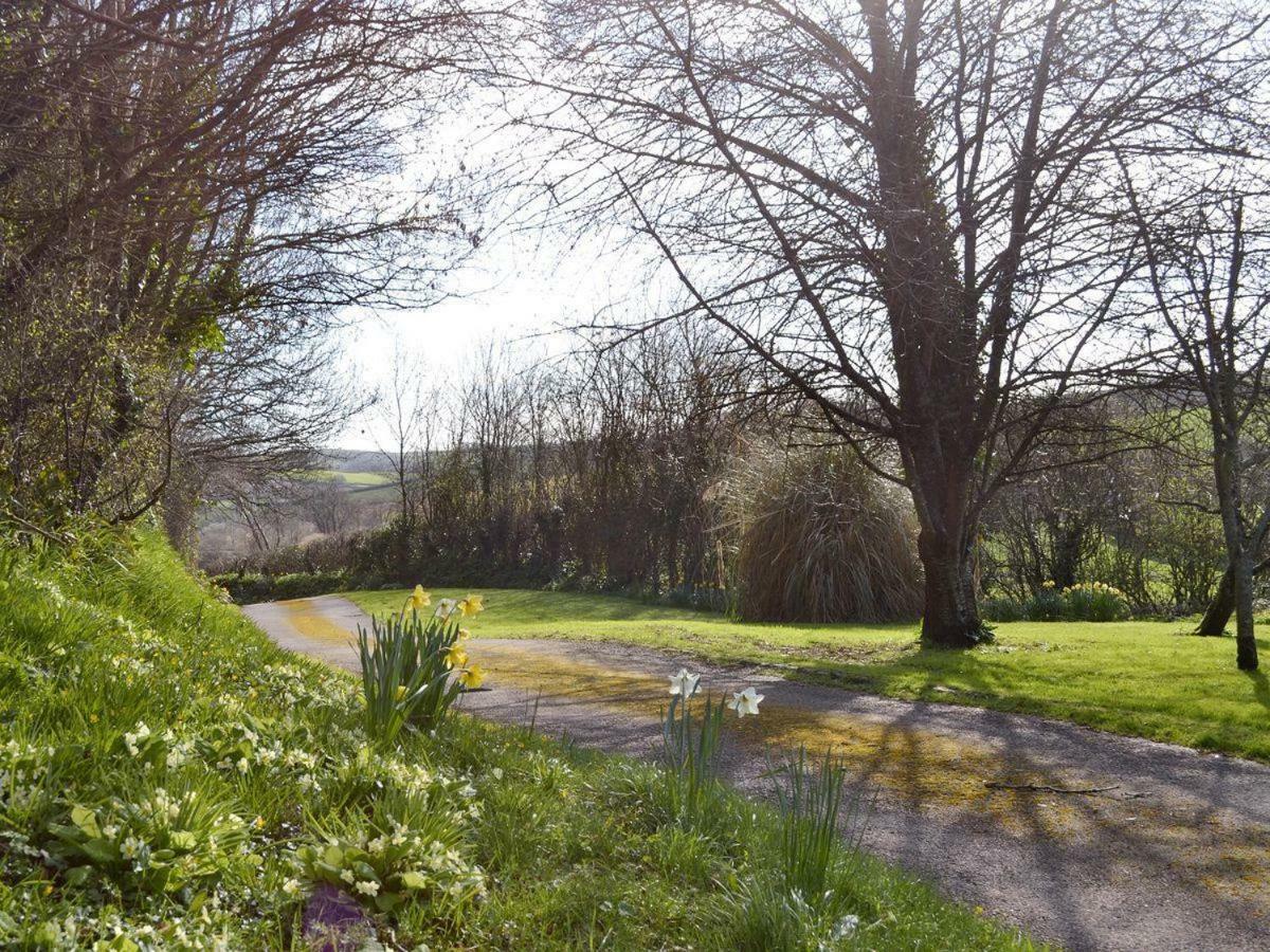 Broadhempston Chaffinch Cottage, Newhouse Barton Cottages מראה חיצוני תמונה